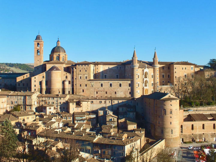 Urbino